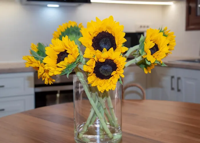 Feriehus Casa Dione - Chania Old Town Chania (Crete)