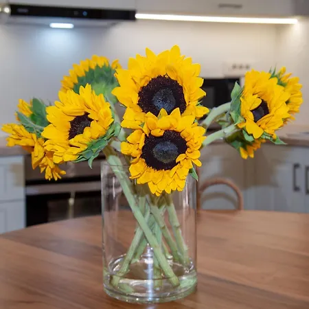 Semesterbostad Casa Dione - Chania Old Town Chania (Crete)